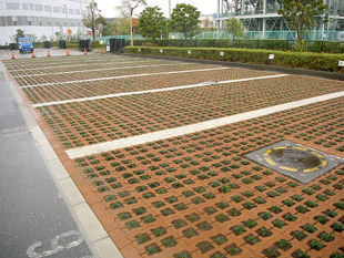 中防合同庁舎駐車場緑化工事