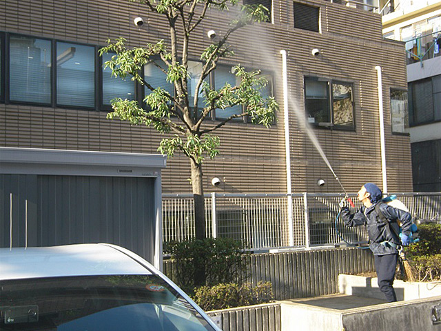 東京都内マンション 樹木消毒