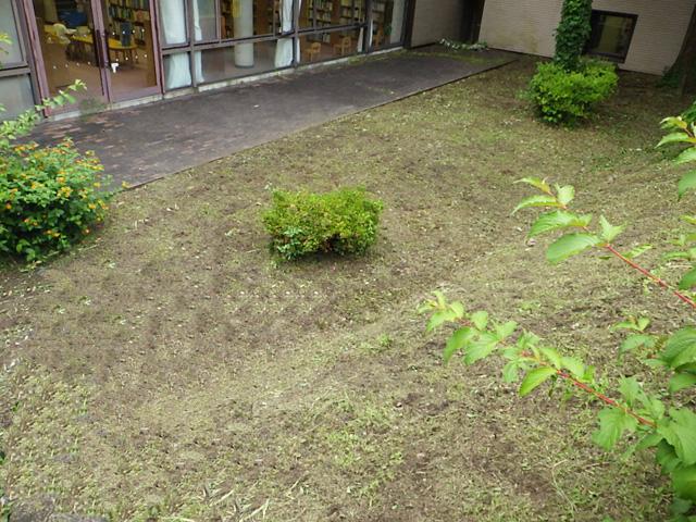 公共施設 庭の除草作業