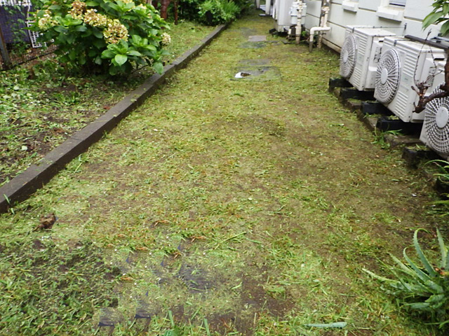 除草 清掃後