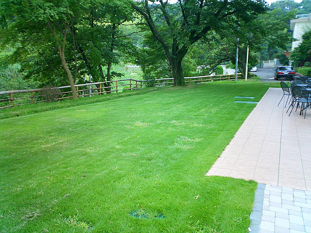 造園作業　芝生を張り